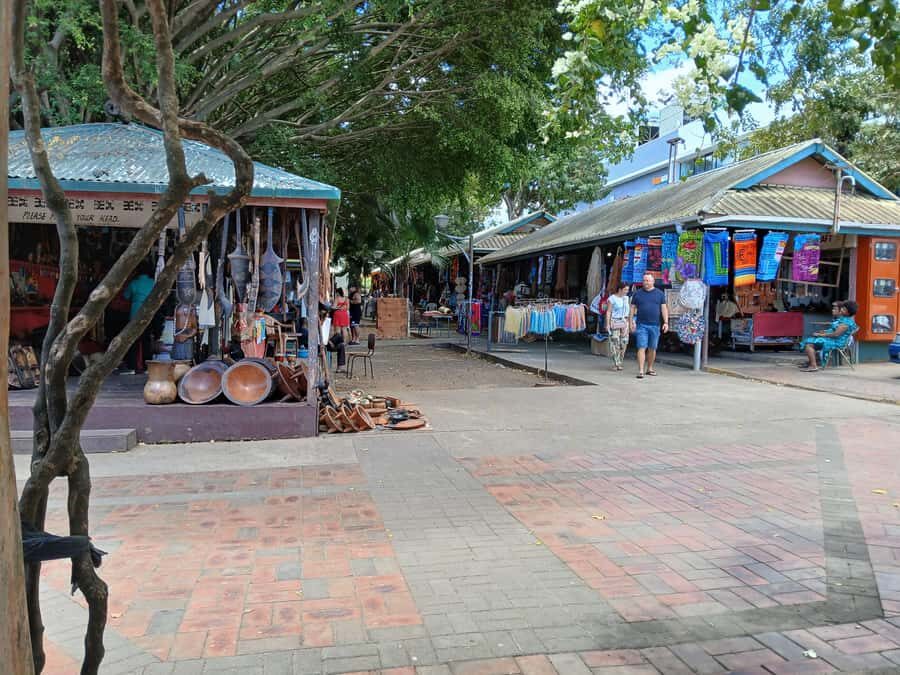 Fiji: Discover Nadi with Sabeto Hotspring and Mudpool Tour - The Practicalities: What to Expect