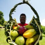 Fiji: Farm Tour: Animals, Honey Tasting & Fijian Cooking - A Closer Look at the Fiji Farm Tour Experience