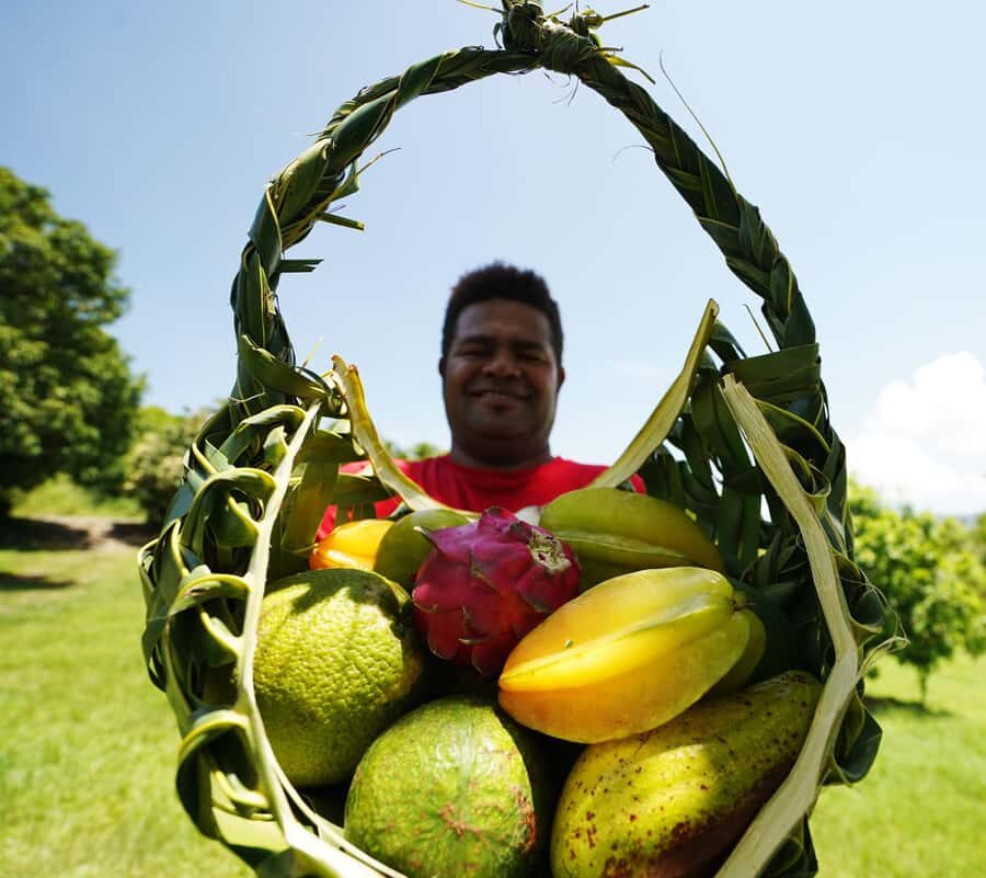 Fiji: Farm Tour: Animals, Honey Tasting & Fijian Cooking - A Closer Look at the Fiji Farm Tour Experience