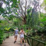 FIJI: Garden of the Sleeping Giant Tour - Jungle Walk and Lily Ponds: Quiet, Natural Beauty