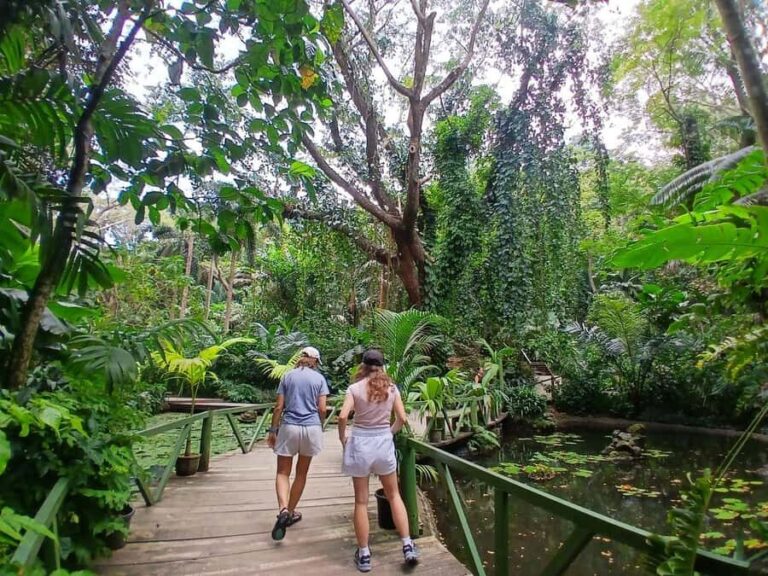 FIJI: Garden of the Sleeping Giant Tour - Jungle Walk and Lily Ponds: Quiet, Natural Beauty
