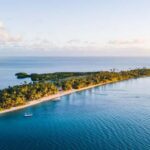 Fiji: Half-Day Island Activities Tour with Jungle Cruise - Likuri Island and the Jungle Cruise