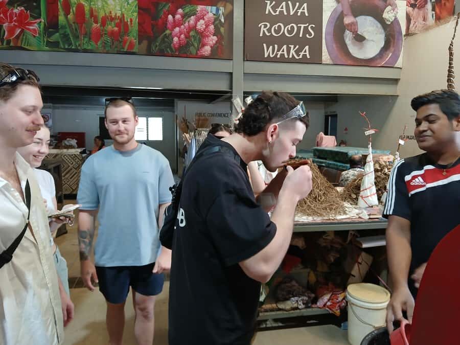 Fiji: Nadi Tour with Tifajek Mudpool and Hotspring Visit - The Itinerary in Detail