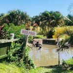 FIJI: Sabeto Hotspring & Mudpool Tours, Tickets & Transfers - Who Should Consider This Tour?