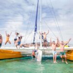 Fiji: South Sea Sailing Experience with Lunch & Drinks - Who Will Love This Tour?