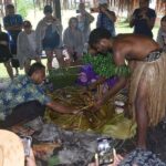 Fijian Adventure Rafting, waterfall, Village Tour with Lunch - What the Reviews Say