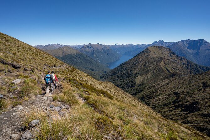 Fiordland Heli-hike from Te Anau - Why You Should Consider This Tour