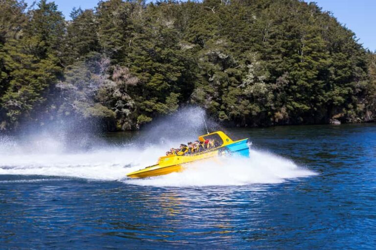 Fiordland: Jet Boat & Nature Walk Experience from Te Anau - What to Expect on the Tour