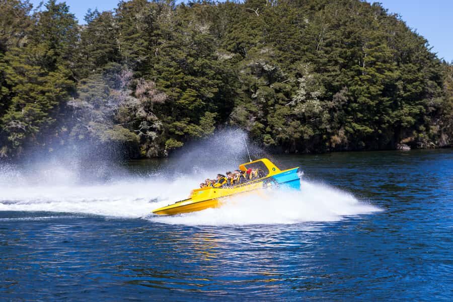 Fiordland: Jet Boat & Nature Walk Experience from Te Anau - What to Expect on the Tour