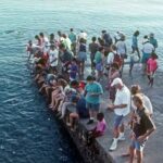Fish Feeding Activity in Darwin - The Value of Your Ticket