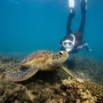 Fitzroy Island Day Trip 11am to 5pm Ferry INC Snorkel Equipment - Who’s This Tour Best For?