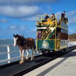 Fleurieu Coast: Victor Harbor, Port Elliot & d'Arenberg Tour - Why This Tour Works Well