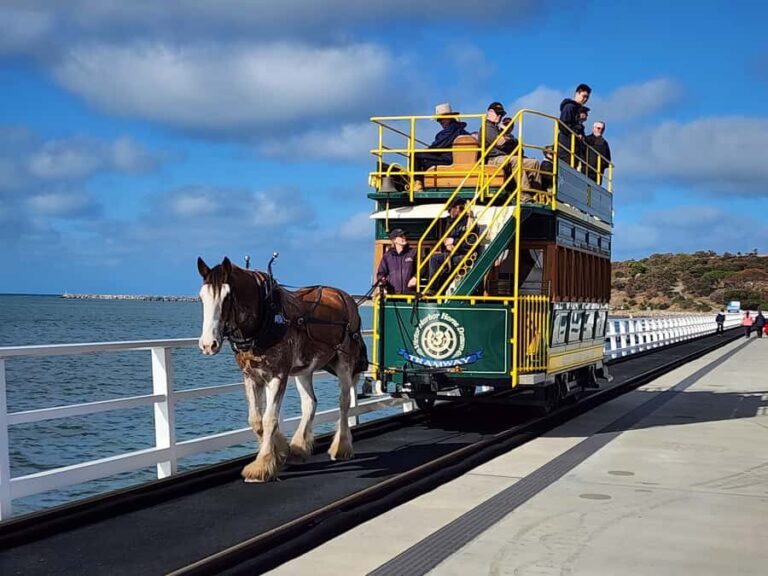 Fleurieu Coast: Victor Harbor, Port Elliot & d'Arenberg Tour - Why This Tour Works Well