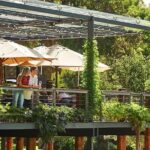 Flight to Leeuwin Winery for Lunch - What’s Included and What to Consider