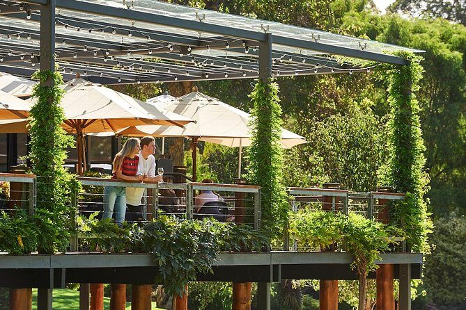 Flight to Leeuwin Winery for Lunch - What’s Included and What to Consider