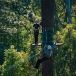 Forest Adventures - Who Should Book This Tour?