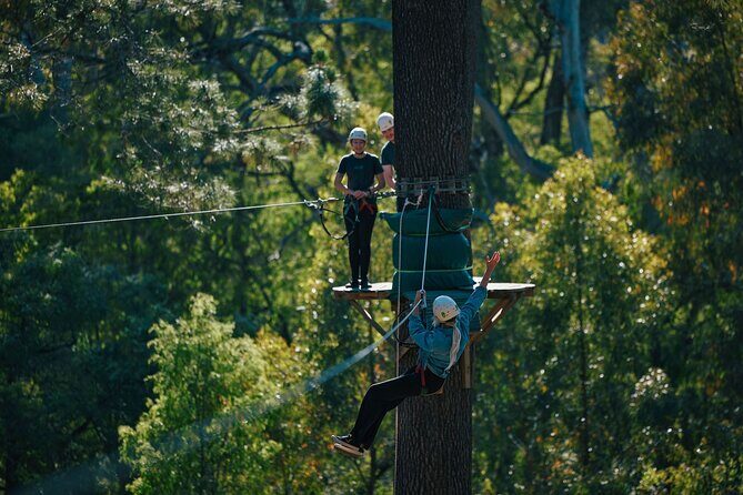Forest Adventures - Who Should Book This Tour?