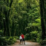 Fox Glacier Nature Tour - The Value of This Tour