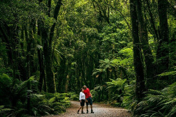 Fox Glacier Nature Tour - The Value of This Tour