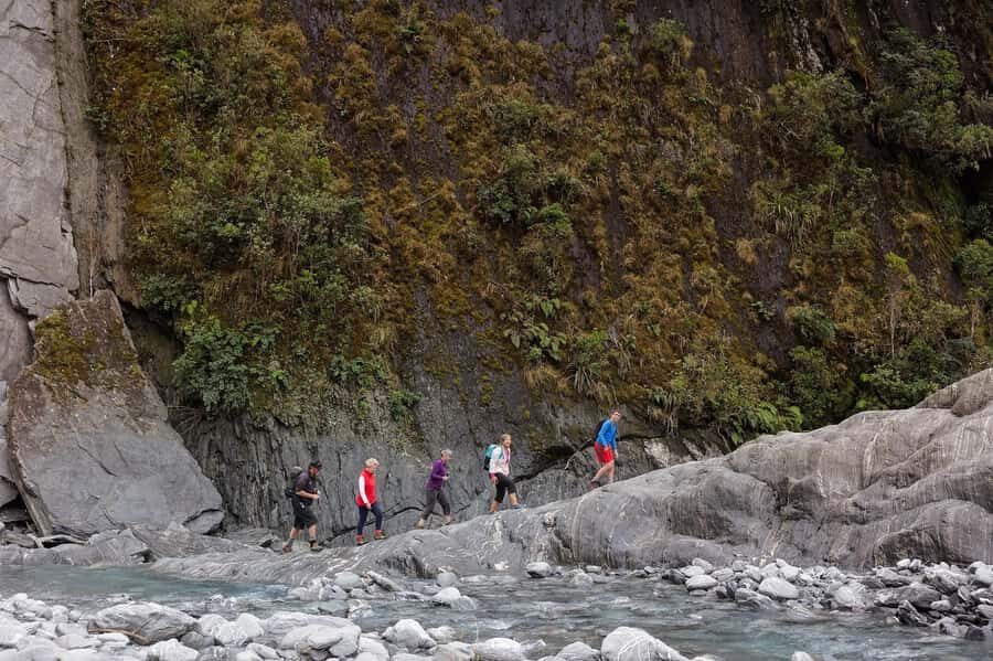 Franz Josef: Franz Josef Glacier Lookout Guided Walk - An In-Depth Look at the Franz Josef Glacier Guided Walk