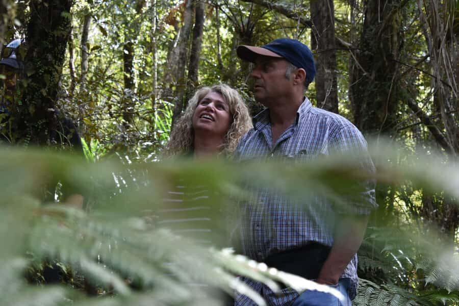 Franz Josef Glacier: 2.5-Hour Lake Mapourika Cruise and Walk - The Value Proposition