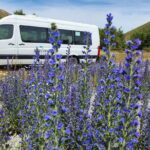 Franz Josef to Christchurch via Hokitika (1 way) - The Journeys End: Christchurch