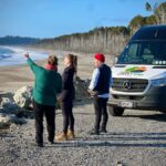 Franz Josef: to Wanaka Small Group 1 Way Tour with Lunch - What’s the Value?