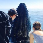 Fraser Island (K'gari): Remote Island and Whale Experience - Transportation and Group Size