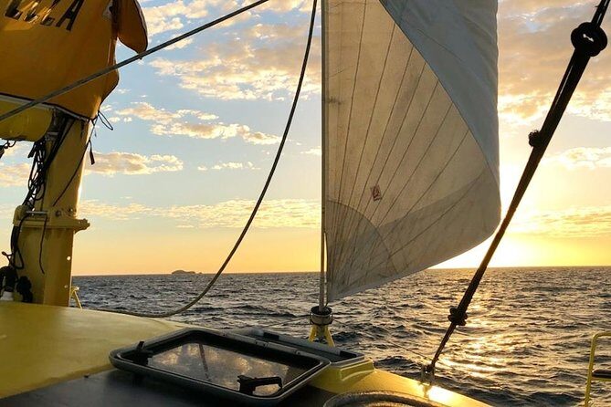 Fremantle Twilight Sail - Authentic Feedback from Travelers
