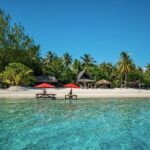 French Polynesia Snorkeling and 4X4 Adventure Tour with Buffet - The Sum Up