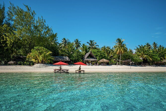 French Polynesia Snorkeling and 4X4 Adventure Tour with Buffet - The Sum Up