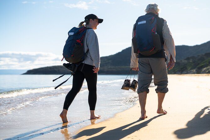 Freycinet Walking Tour - Scenic and Wildlife Highlights