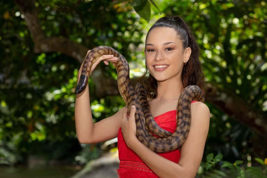 Friends in the Rainforest Package: Koala Gardens & Birdworld - Who Should Consider This Tour?