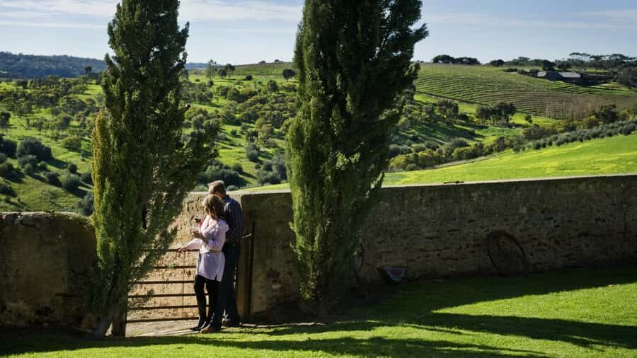 From Adelaide: Boutique McLaren Vale Wine Tour with Lunch - Why This Tour Offers Good Value