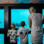 From Airlie Beach: Great Barrier Reef Adventure Cruise - Breakdown of the Itinerary