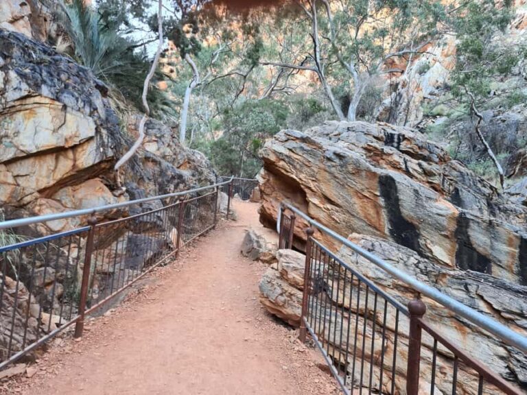 From Alice Spring: West MacDonnell Ranges Half-Day Tour - Whats Included and Whats Not
