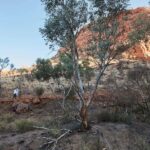 From Alice Springs: West MacDonnell Ranges Half Day Trip - What’s Included and What to Expect