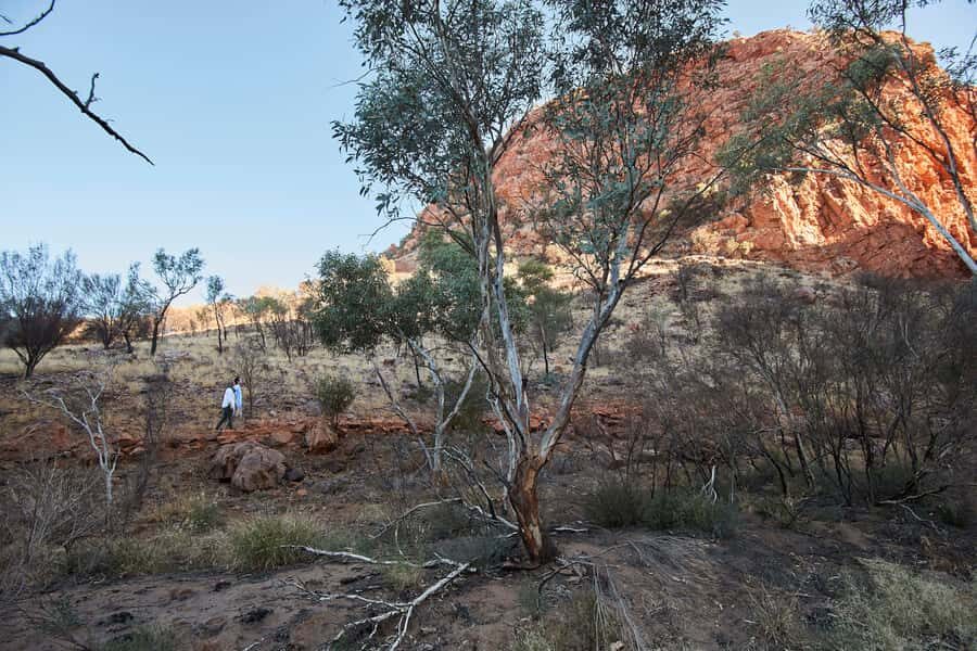 From Alice Springs: West MacDonnell Ranges Half Day Trip - What’s Included and What to Expect
