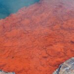 From Auckand: Waiotapu and Polynesian Spa Rotorua Day Tour - Pricing and Value Analysis