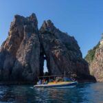 From Auckland: ALDERMAN ISLANDS (Ruamaahu) Day Trip - The Price and Overall Value