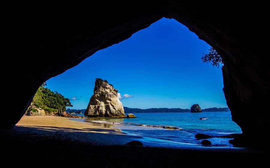 From Auckland: Cathedral Cove & Hot Water Beach Tour - Exploring the Itinerary in Detail