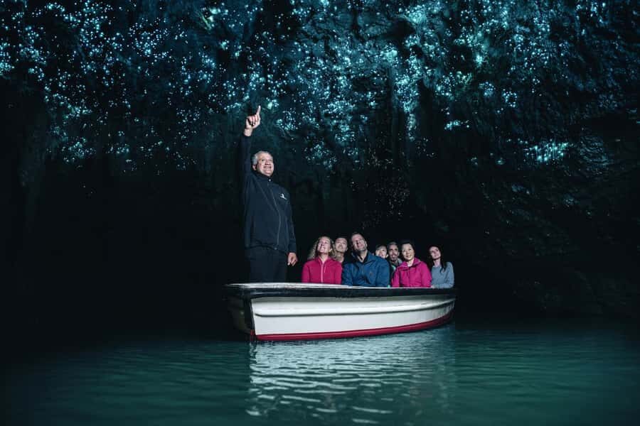 From Auckland: Day Trip to Waitomo Glow Worm Caves - Who Will Love This Tour?