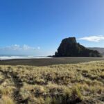 From Auckland: Guided Tour of Piha with Scenic Beach Walks - What We Like and What to Consider