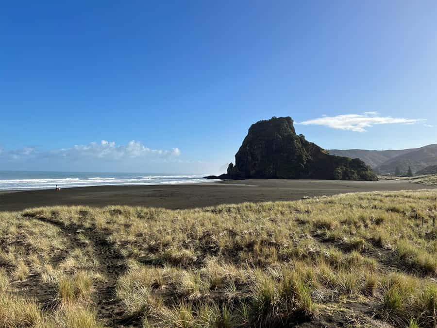 From Auckland: Guided Tour of Piha with Scenic Beach Walks - What We Like and What to Consider