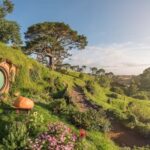 From Auckland: Hobbiton Movie Set Day Tour with Picnic Lunch - What You Can Expect from This Tour