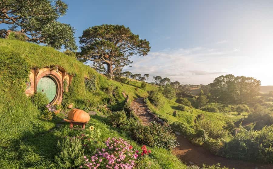 From Auckland: Hobbiton Movie Set Day Tour with Picnic Lunch - What You Can Expect from This Tour