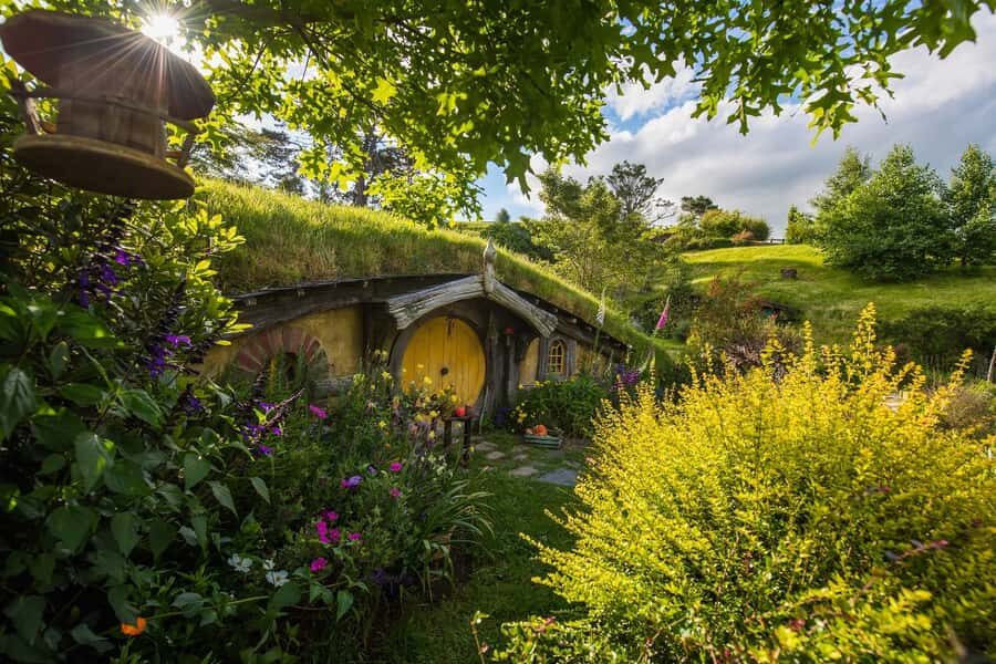 From Auckland: Hobbiton Movie Set Full-Day Small-Group Trip - The Arrival and Early Access to Hobbiton