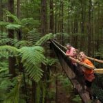 From Auckland to Rotorua Waiotapu and Activity Combinations - Lady Knox Geyser: A Natural Show