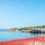 From Auckland: Waiheke Island Wineries' Tour - The Itinerary: What to Expect
