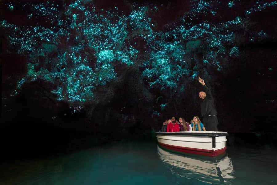 From Auckland: Waitomo Glow Worm Caves & Rotorua Tour - Practical Details and Value